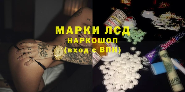 ГАЛЛЮЦИНОГЕННЫЕ ГРИБЫ Вязники