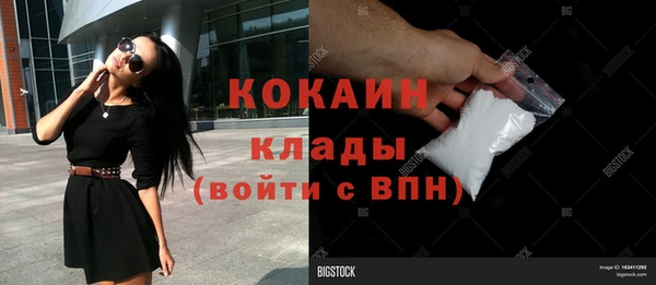 амф Вяземский