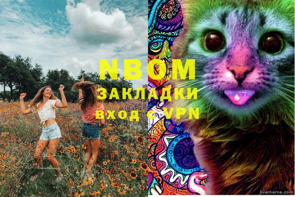 ГАЛЛЮЦИНОГЕННЫЕ ГРИБЫ Вязники