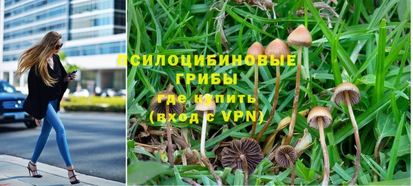 амф Вяземский